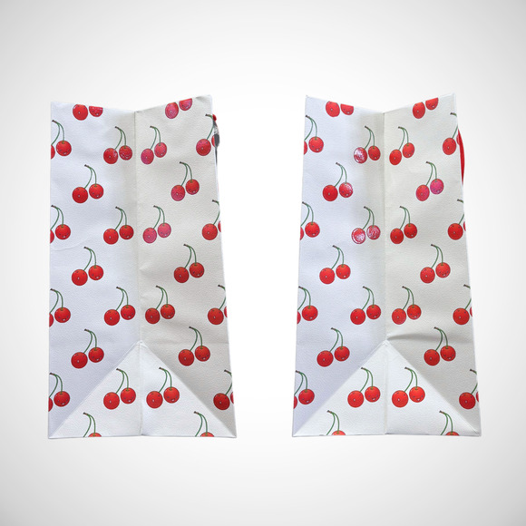 Louis Vuitton x Takashi Murakami Cherry Packaging 19x16x9" Large Shopping Bag - Picture 3 of 7